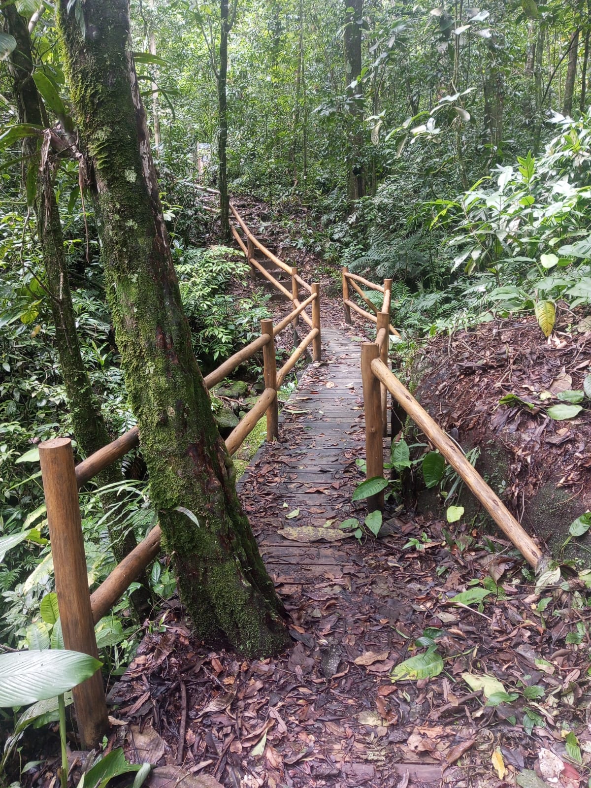Cachoeira em Ilhabela